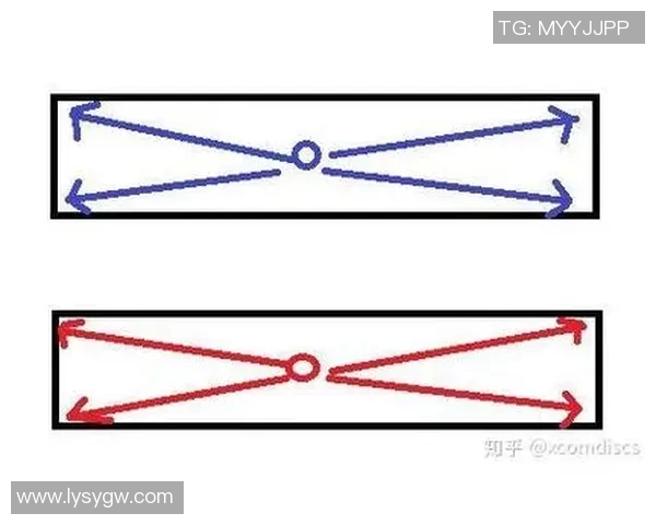 深入分析上海排球队防守策略与战术特点的专业解读